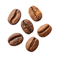 Arabica Coffee
